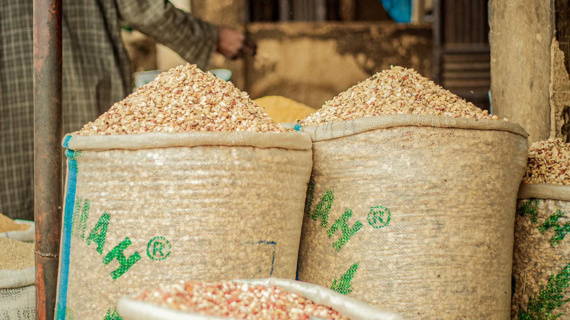 pexels-photo-31113266