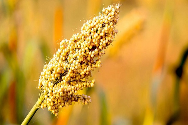 shutterstock_1961870800-1800x900